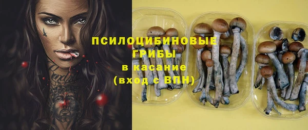 spice Магас