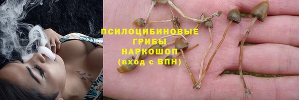 прущая мука Мегион