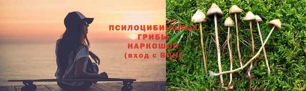 MDMA Premium VHQ Медногорск