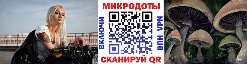 Купить  Нерехта  Галлюциногенные грибы прущие грибы 
